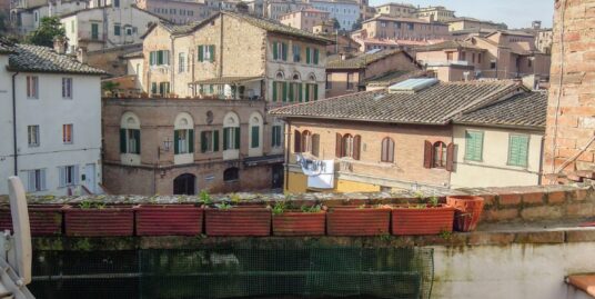 Siena Centro Storico (Contrada Della Lupa)
